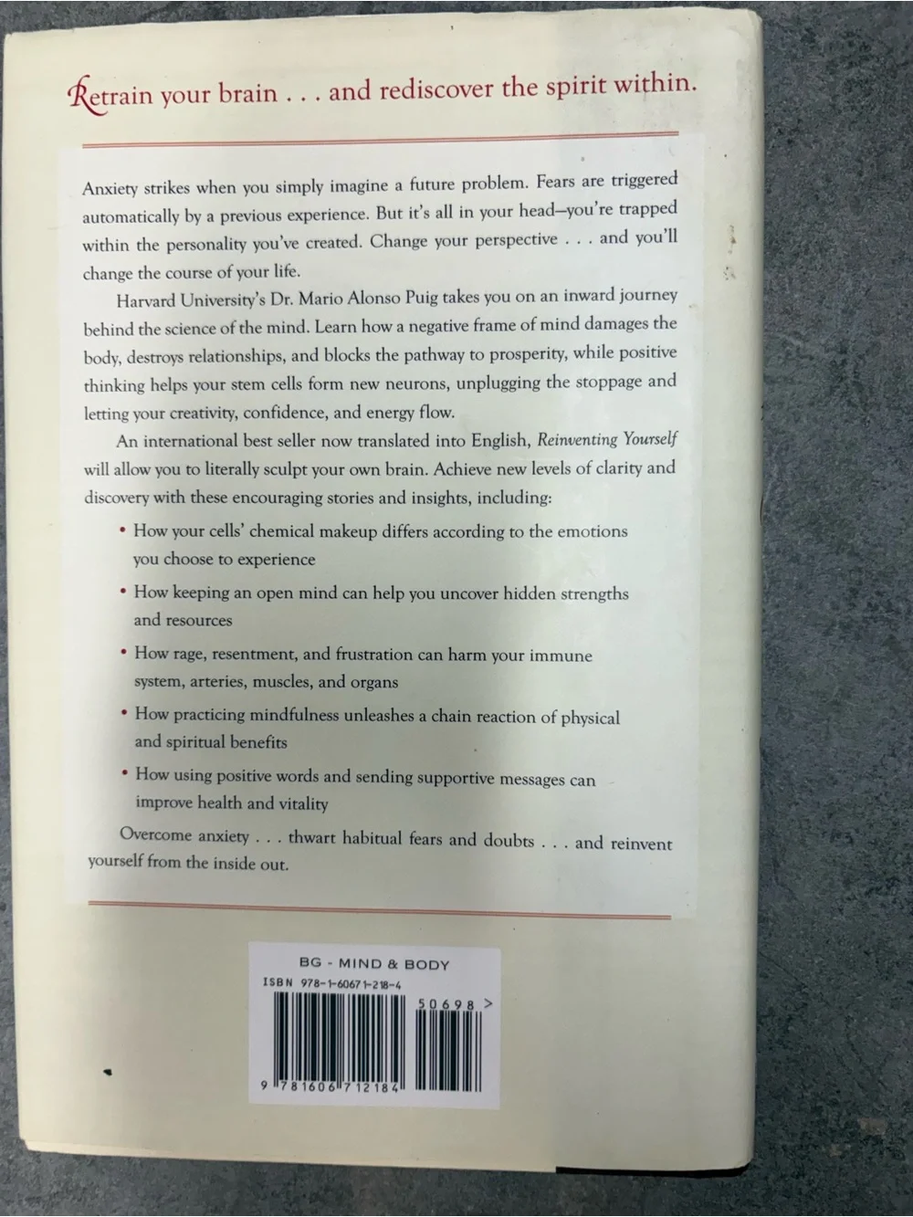 Mario Alonso Puig Reinventing Yourself Hardcover FINE Communications 2011
